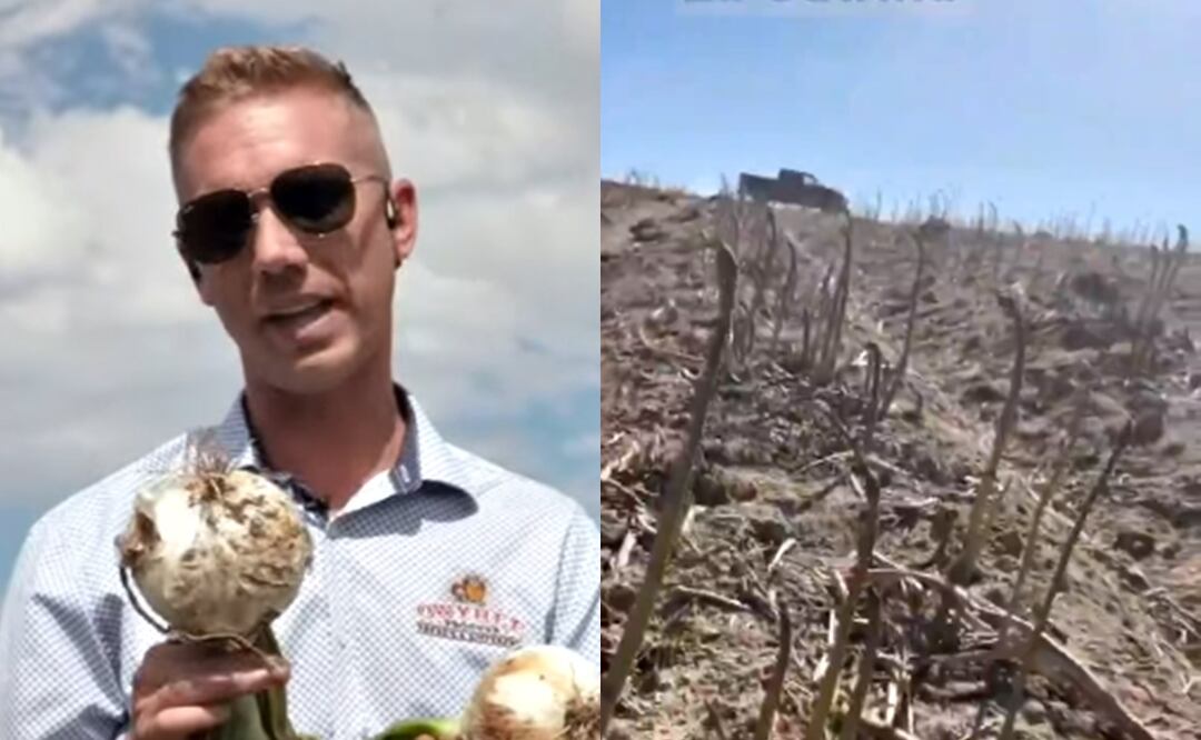 Empresario reporta crisis agrícola en EU por falta de trabajadores migrantes; ofrece $16 dólares por hora y vivienda. Foto: Captura Instagram/shayfarmkid