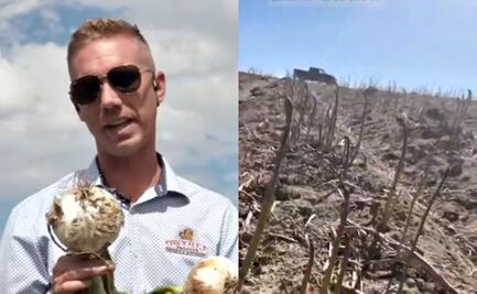 Empresario reporta crisis agrícola en EU por falta de trabajadores migrantes; "Nadie viene ni por $16 dólares la hora"