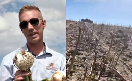 Empresario reporta crisis agrícola en EU por falta de trabajadores migrantes; "Nadie viene ni por $16 dólares la hora"