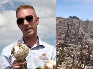 Empresario reporta crisis agrícola en EU por falta de trabajadores migrantes; "Nadie viene ni por $16 dólares la hora"