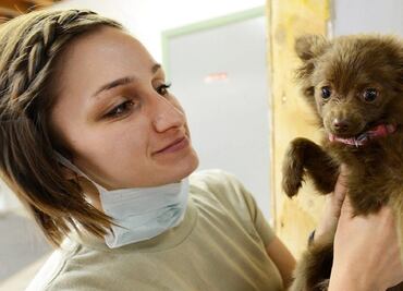 Empleos que pagan más de 50 dólares por hora en EU