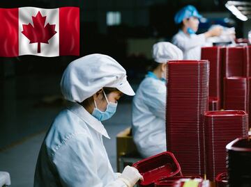 Trabajo en Canadá 2023: Solicitan mexicanos para empleo en procesamiento de alimentos