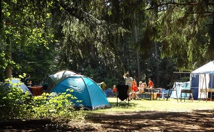 Vinculan casi 100 casos de covid en campamento de verano de Illinois
