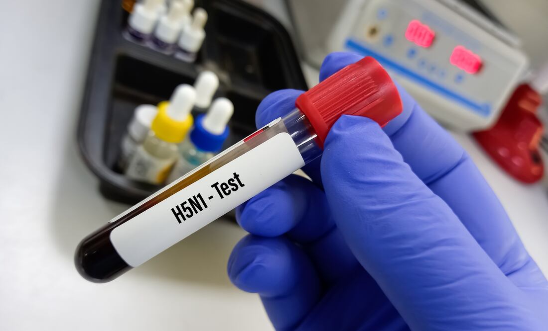 Muere niña mexicana de 3 años con gripe aviar, el primer caso humano en México. Foto iStock / Md Babul Hosen
