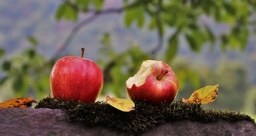 Alimentos que, quizá no sabías, estás comiendo mal