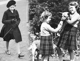 Perros corgi, lo más leales sirvientes de la Reina Isabel II