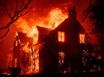 Incendio en Los Ángeles. Famosos muestran catástrofe: “Perderlo todo es una prueba para el alma”. VIDEO