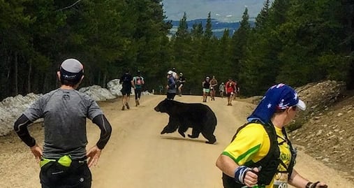 Oso impacta a competidores al correr maratón en Colorado