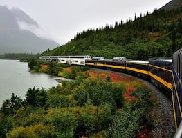 Tren con techo de vidrio para ver los mejores paisajes de Alaska