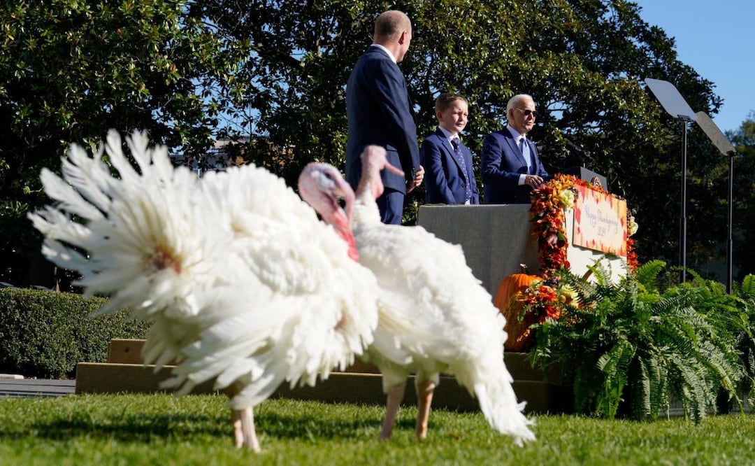 Día de Acción de Gracias. /EFE