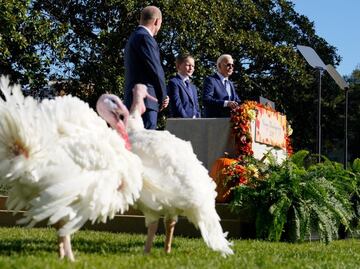 Biden “perdona” a dos pavos. Historia de esta ceremonia de Día de Acción de Gracias