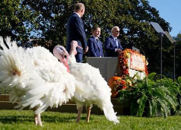 Biden “perdona” a dos pavos. Historia de esta ceremonia de Día de Acción de Gracias