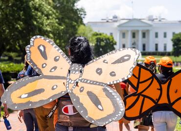 EU, lejos de aprobar la ley que daría ciudadanía a 'dreamers'