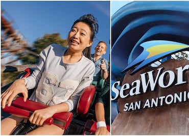 Así son las emocionantes y cardíacas montañas rusas que abrirán los parques de SeaWorld