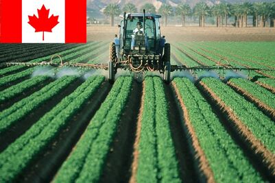 Canadá busca trabajadores agrícolas; no necesitan inglés ni francés 