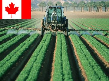 Canadá busca trabajadores agrícolas; no necesitan inglés ni francés