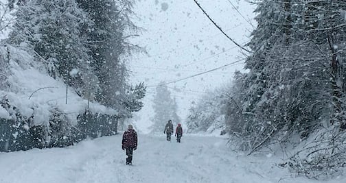 Fotos: Tormenta invernal provoca inusuales nevadas en Hawái