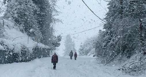 Fotos: Tormenta invernal provoca inusuales nevadas en Hawái