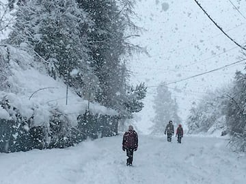 Fotos: Tormenta invernal provoca inusuales nevadas en Hawái