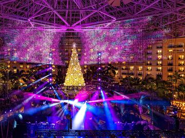 Los 9 mejores planes para celebrar Navidad en Kissimmee y Florida Central