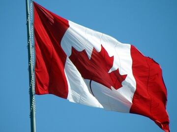 Lanzan oferta para trabajar en procesamiento de camarones en Canadá