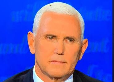 Mosca en cabeza de Pence, el dato curioso del debate con Harris