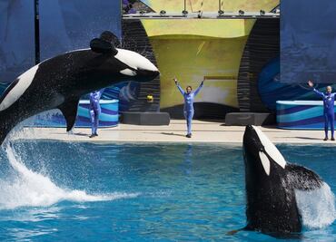SeaWorld cambiará su espectáculo de orcas