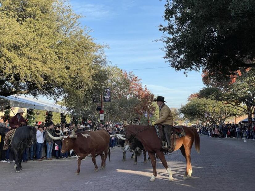  Las 10 mejores cosas para hacer en tu primer viaje a Fort Worth, Texas 