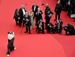 Messi conquista Cannes: El perro estrella de 'Anatomie d’une chute' se roba la alfombra roja. FOTOS