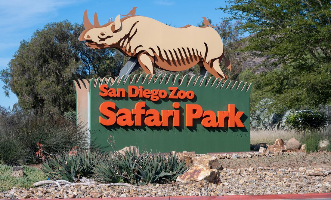 San Diego Zoo Safari Park. iStock/ Amy Sparwasser