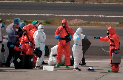 OMS lanza alerta por hantavirus: advierte que es altamente contagioso desde los primeros síntomas