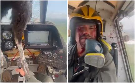 Video. Ave se estrella contra avioneta y piloto queda cubierto de sangre