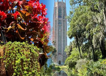 Bok Tower Gardens, uno de los jardines más hermosos para conocer en Florida