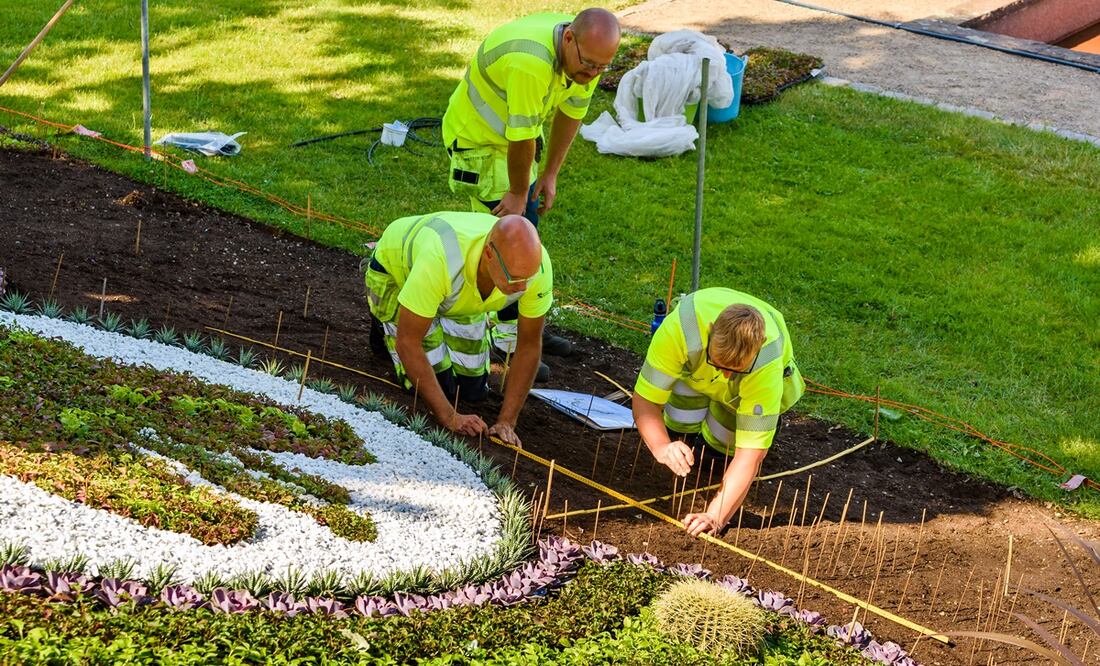 El jardinero contratado se encargará del mantenimiento del césped en los campos deportivos. Foto: iStock