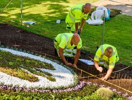 ¡Solicitan jardineros en Disney World! Ofrecen salario de 17 dólares por hora para el trabajo en Florida