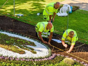 ¡Solicitan jardineros en Disney World! Ofrecen salario de 17 dólares por hora para el trabajo en Florida