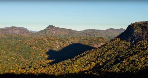Así es la “sombra del oso” que llega a Carolina del Norte cada otoño