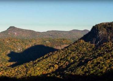 Así es la “sombra del oso” que llega a Carolina del Norte cada otoño