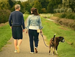 5 beneficios a la salud que aporta caminar, según Harvard