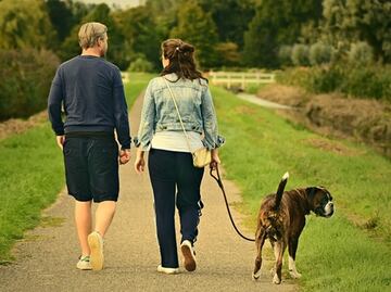 5 beneficios a la salud que aporta caminar, según Harvard