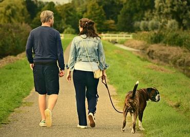 5 beneficios a la salud que aporta caminar, según Harvard