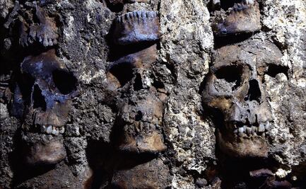 Hallan en CDMX otro tzompantli, torre de cráneos humanos