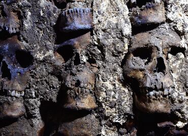 Hallan en CDMX otro tzompantli, torre de cráneos humanos