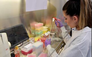 Covid-19. Han surgido cerca de 2 mil mutaciones del SARS-CoV-2