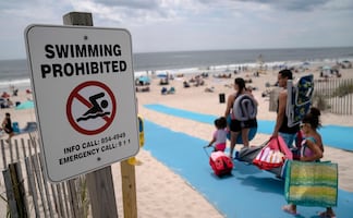 Cierran playa de Nueva York por avistamiento de tiburones