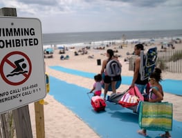 Cierran playa de Nueva York por avistamiento de tiburones