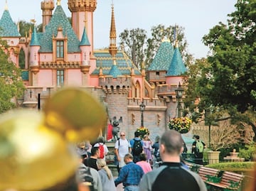 Vende boletos falsos para parques Disney y sale bajo fianza
