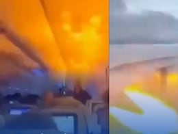 Conejo causa pánico en pleno vuelo de United Airlines: motor se incendia y avión aterriza de emergencia. VIDEO
