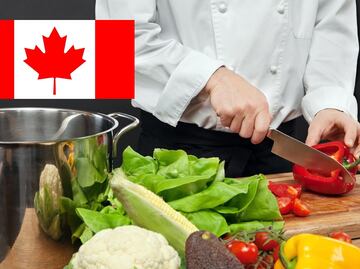 Buscan cocineros mexicanos para trabajar en Canadá; serán ayudantes