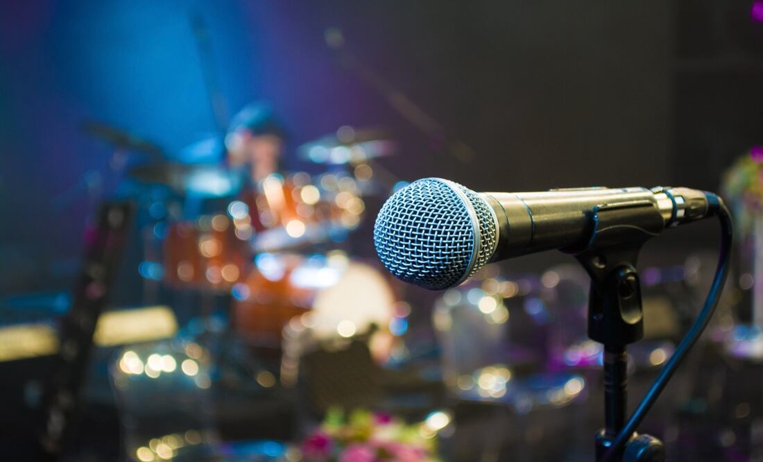 Muere famoso cantante en concierto tras electrocutarse por abrazar a fan. Foto: iStock / batuhan toker